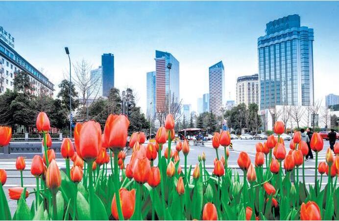 尊龙凯时 - 人生就是搏!